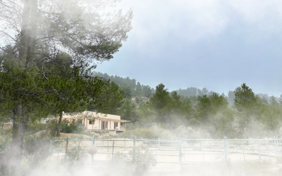 Discover Windchaser Ranch in 2025: A Year of Connection and Discovery