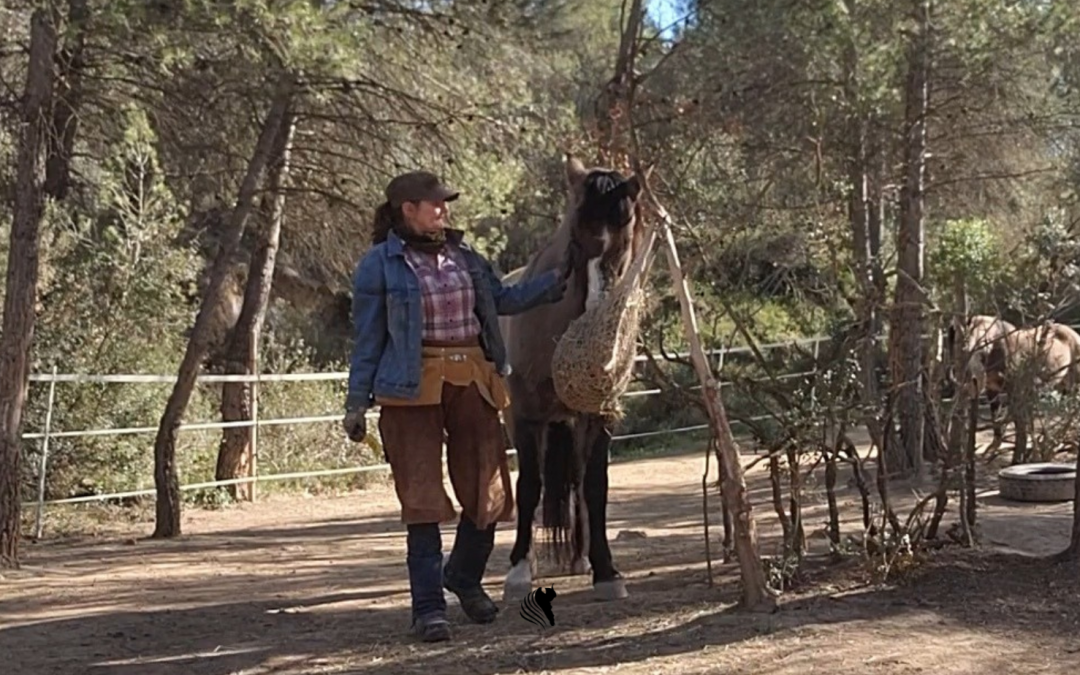 A Day in the Life at Windchaser Ranch