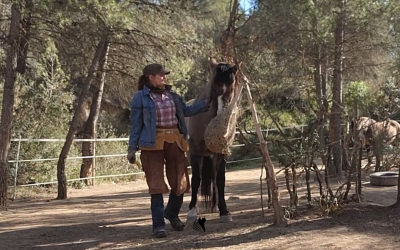 A Day in the Life at Windchaser Ranch