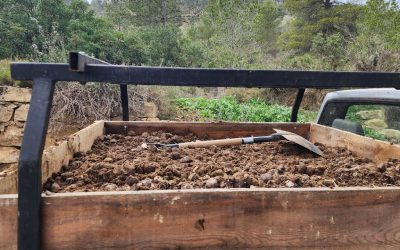 The Poop Loop: How Windchaser Ranch Turns Horse Manure into Sustainable Gold