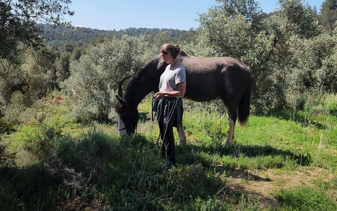 A Return to Self: ReWilding with the Windchaser Herd
